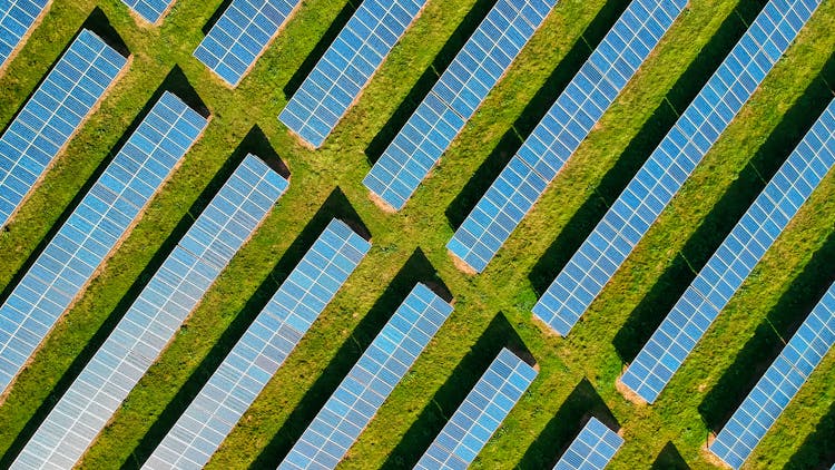 affittare terreno per fotovoltaico