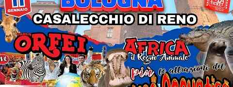 A Bologna  lo show di successo del Circo Paolo Orfei, “Africa, Il Regno Animale”